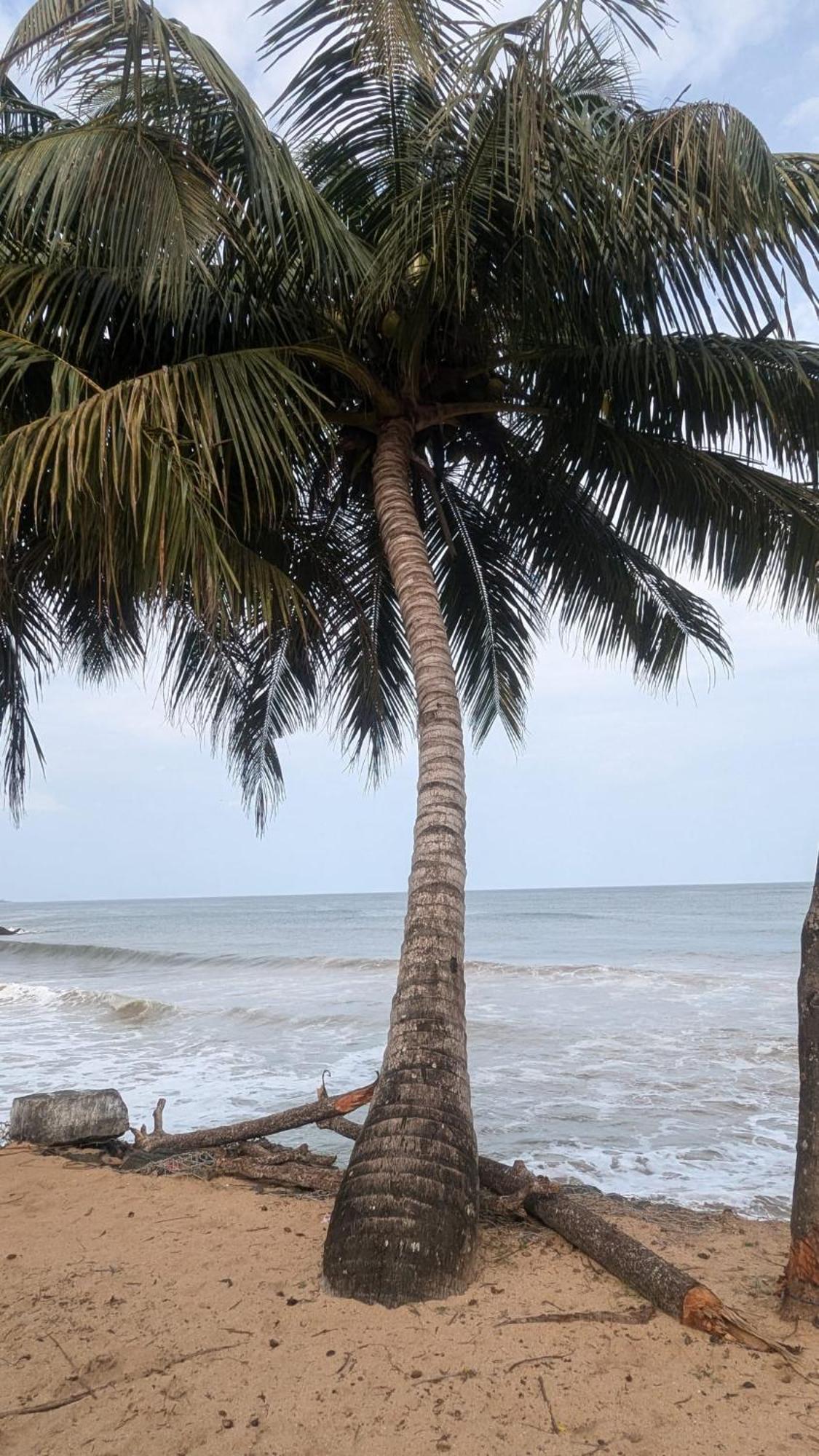 Chandi Gaya Beach Guesthouse 坦加拉 外观 照片